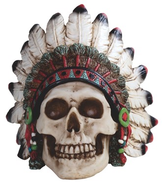 Skull with Warbonnet