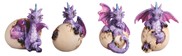 View Purple Dragon Egg set