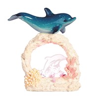 View Dolphin on Coral