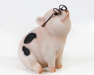 Pig with Glasses | GSC Imports