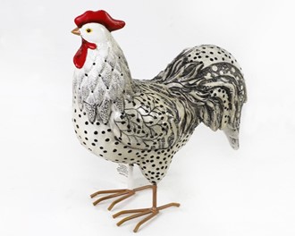 Rooster-Silver Campine | GSC Imports