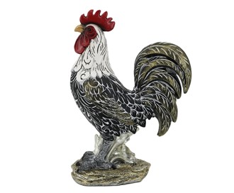 Rooster-Campine | GSC Imports