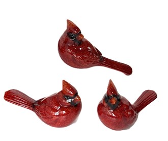 Cardinal set | GSC Imports