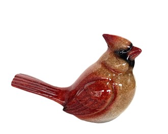 Cardinal-Female | GSC Imports