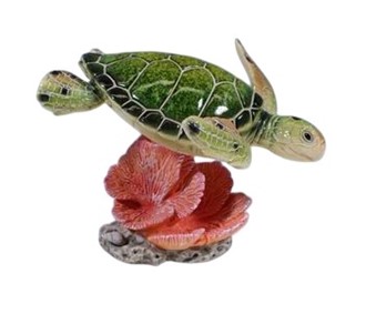 Green Sea Turtle on Red Coral | GSC Import