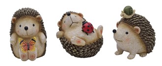 Cute Hedgehog 3 Piece Set
