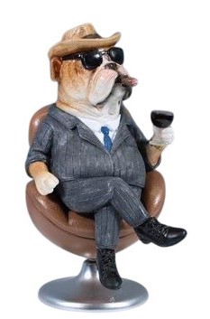 Gentleman Bulldog on Chair