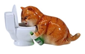 Orange Drunk Cat Toilet