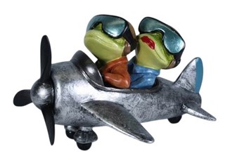 Frog Pilot Couple