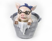 View Pig with Glasses