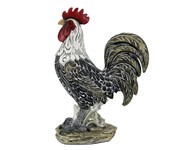 View Rooster-Campine