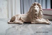 View Lion Laying