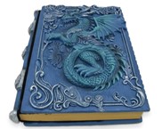 View NoteBook-Dragon