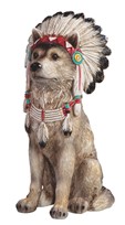 View Wolf Chief