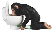 View Chimpanzee Toilet