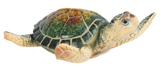 Import Turtle